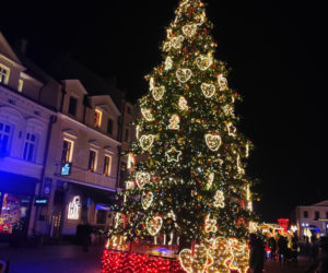 Rzeszów pięknie przybrany na Święta Bożego Narodzenia  [ZDJĘCIA]