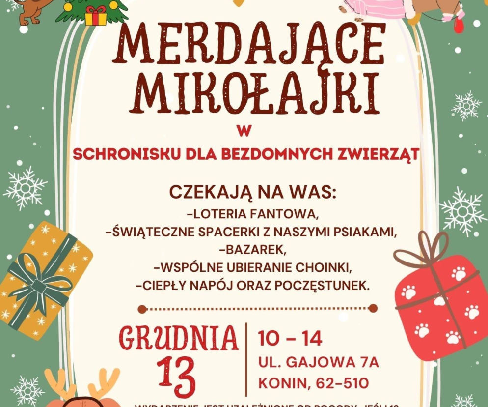 Merdające Mikołajki