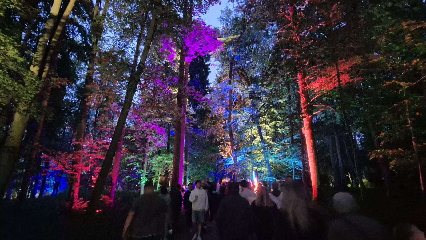 Olsztyn zamienił się w magiczną krainę. Park Świateł przyciągnął tłumy!