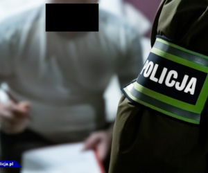 Potężne uderzenie w gang samochodowy. 10 osób w rękach policji