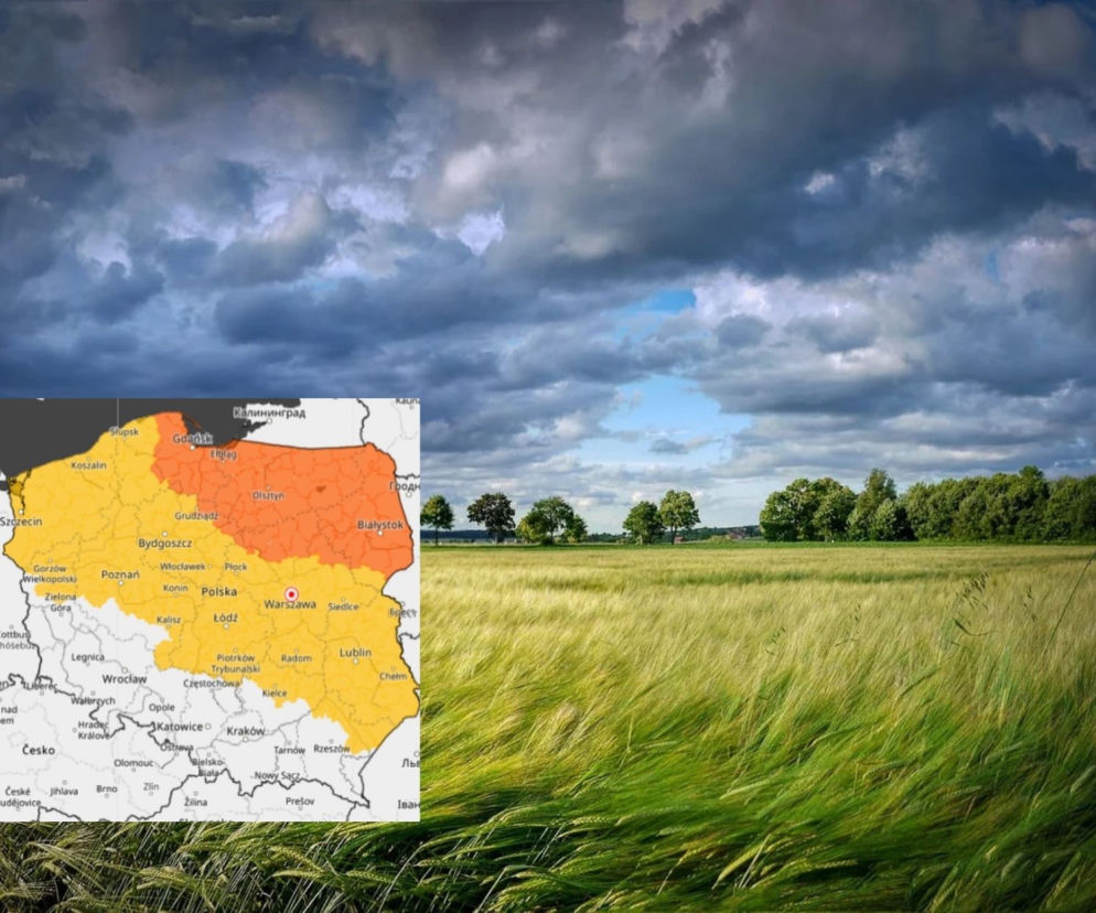 Gwałtowny wiatr nadal w Polsce. IMGW podało najnowszą prognozę pogody