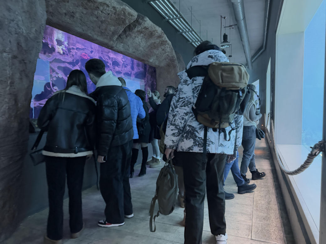 Czy warto jechać do ZOO Wrocław zimą?
