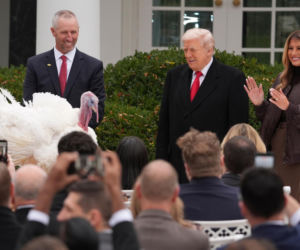 Trump ułaskawił indyki. Ale poprzednie zostaną zjedzone?!