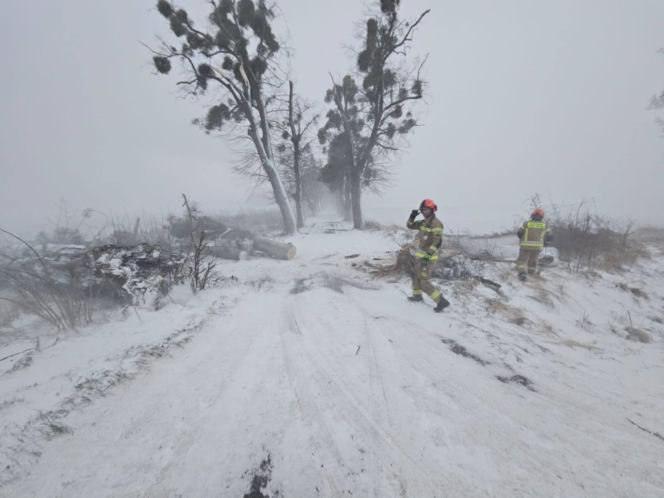 Wichura zniszczyła zabytkową kapliczkę przy sanktuarium