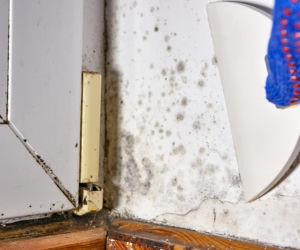 Pleśń w łazience? Prosty trik na wilgoć i brzydki zapach