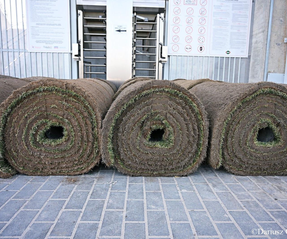 Na stadionie przy Struga praca wre.  Trwa układanie nowej murawy 