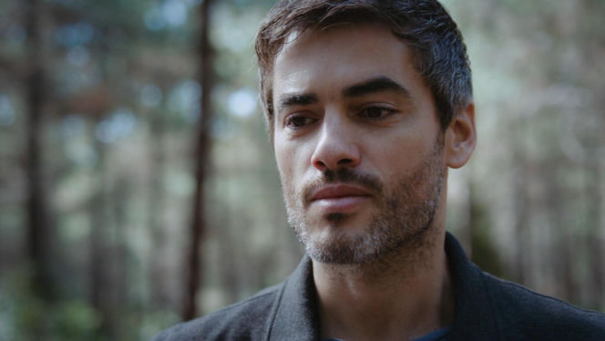 Dziedzictwo, odc. 892. Poyraz