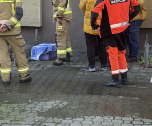 Pożar mieszkania na parterze. Strażacy z ognia wynieśli przerażonego kota