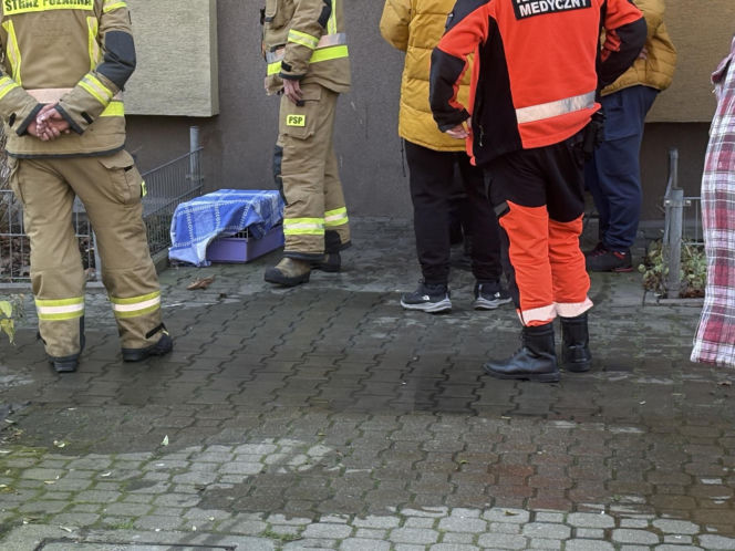 Pożar mieszkania na parterze. Strażacy z ognia wynieśli przerażonego kota