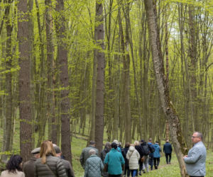 Nowe rezerwaty na terenie woj. lubelskiego