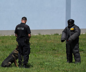 Turniej psów policyjnych w Zaczerniu koło Rzeszowa