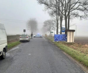 Śmiertelny wypadek w m. Zalesie