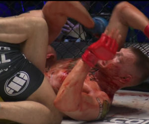 KSW 69: Krwawa rzeźnia w klatce