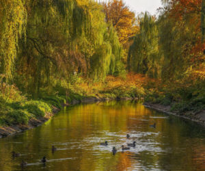 Najdłuższa nazwa rzeki w Śląskiem przyciąga uwagę geografów