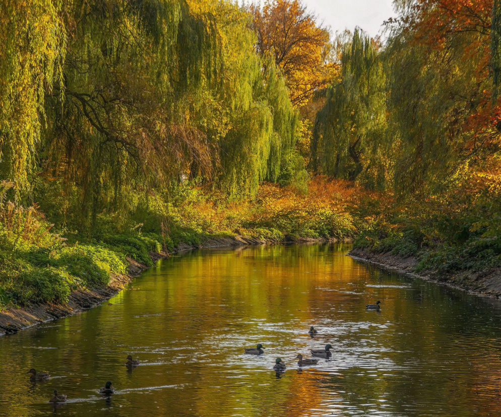Najdłuższa nazwa rzeki w Śląskiem przyciąga uwagę geografów