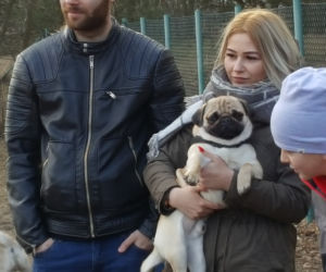 Spacer z mopsami