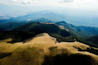 Makabryczne odkrycie na granicy Kolumbii i Ekwadoru. Znaleziono 27 zwęglonych ciał