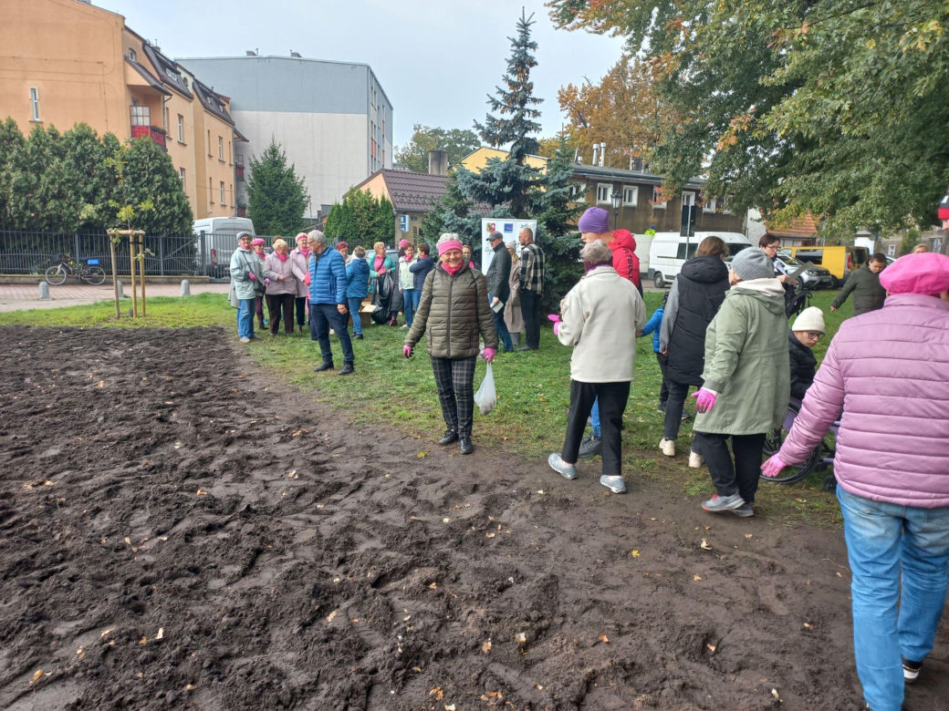 Posadzili żonkile w Lesznie. Dziś Europejski Dzień Walki z Rakiem Piersi