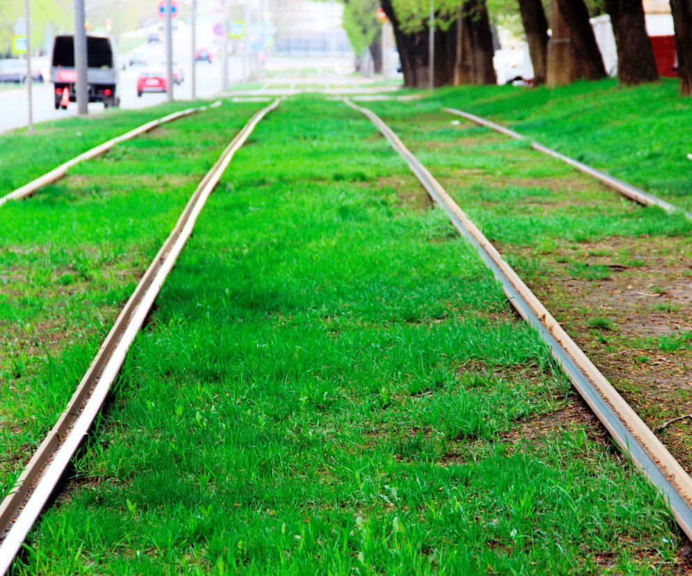 zielone tory tramwajowe