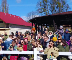 Konna święconka w Szczecinie