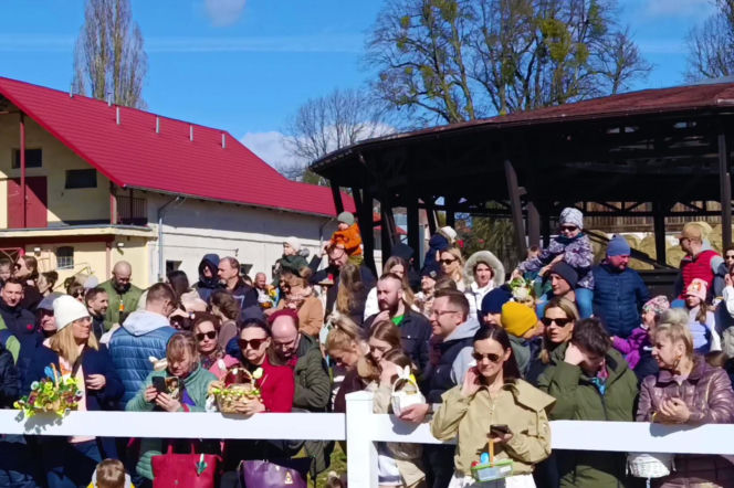 Konna święconka w Szczecinie