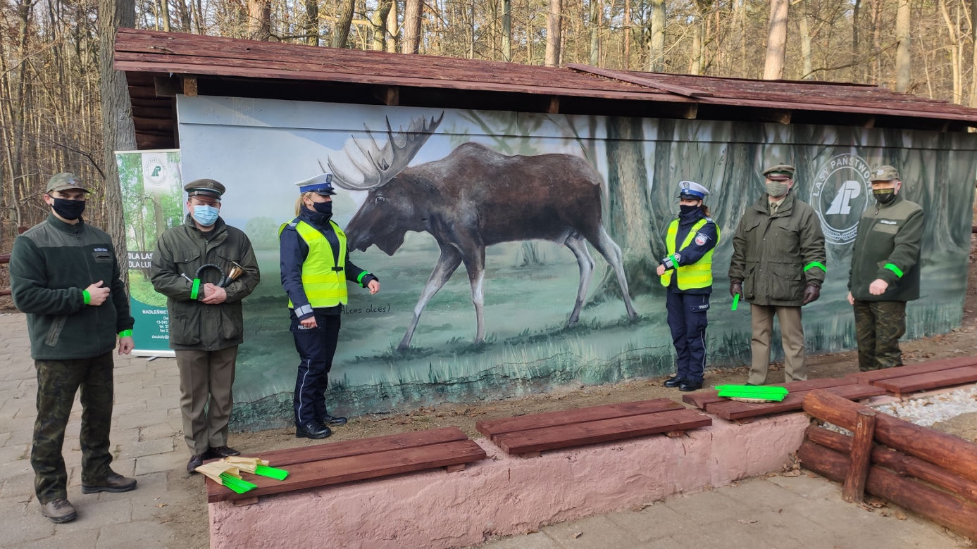 Mural z łosiem stanął przy drodze. Ma ostrzegać kierowców [ZDJĘCIA]