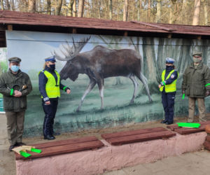 Mural z łosiem stanął przy drodze. Ma ostrzegać kierowców [ZDJĘCIA]