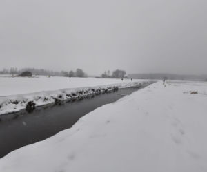 Poszukiwania woj lubelskie