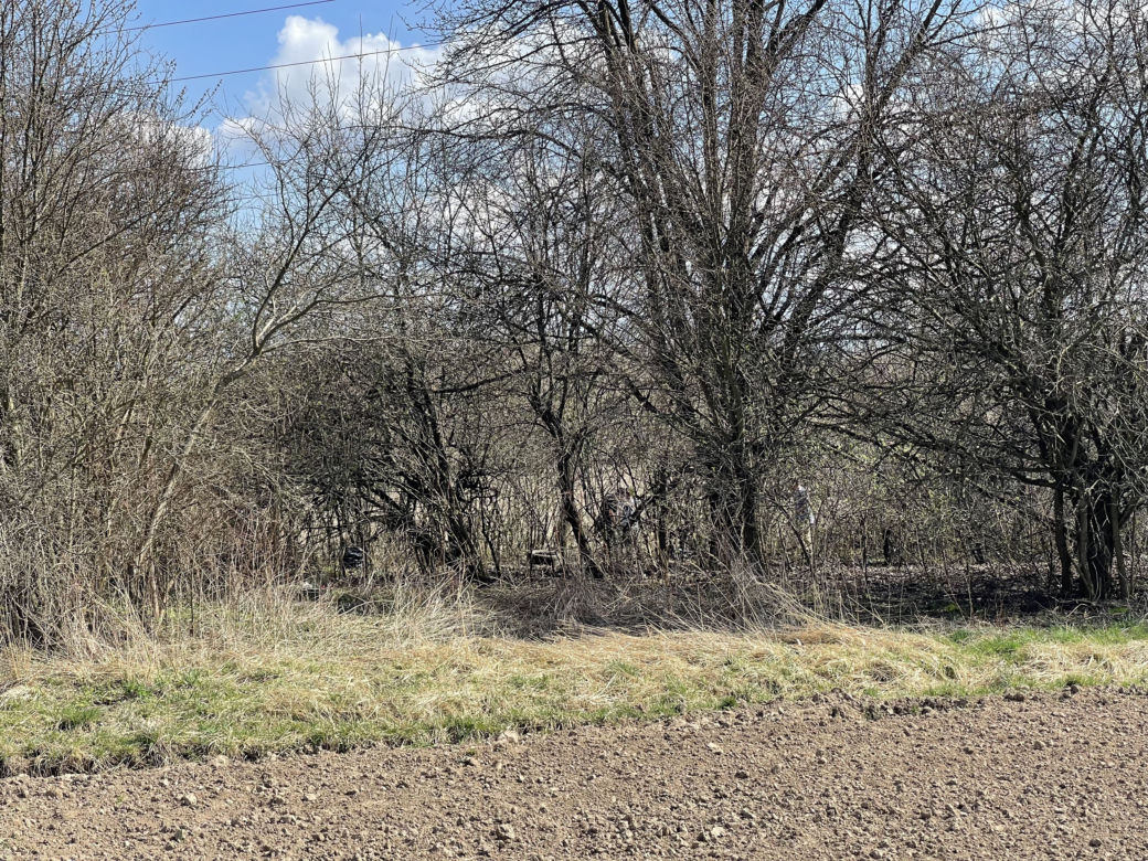 Mieszkańcy wzięli sprawy w swoje ręce i posprzątali Górkę Narodową. Pomogło im MPO