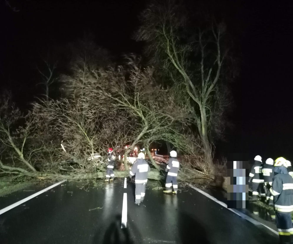 Walka strażaków ze skutkami silnych wichur