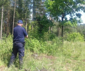 67-letni zwyrodnialec znęcał się nad zwierzętami! Policja znalazła 13 martwych byków i świni [ZDJĘCIA]