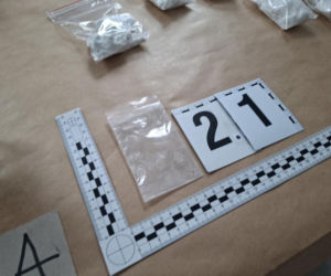 Kolejne uderzenie w zorganizowaną przestępczość samochodową, 8 osób aresztowano