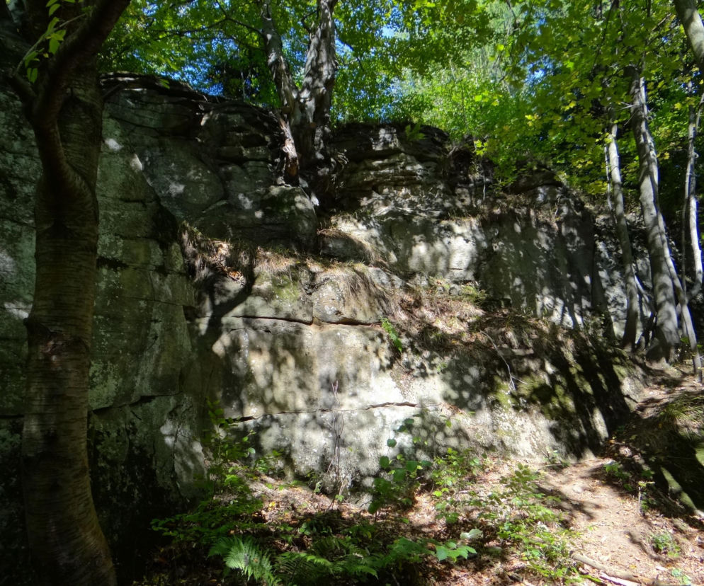 Jak z Dolnego Śląska, ale na Śląsku. Niezwykłe skalne miasto w Beskidach