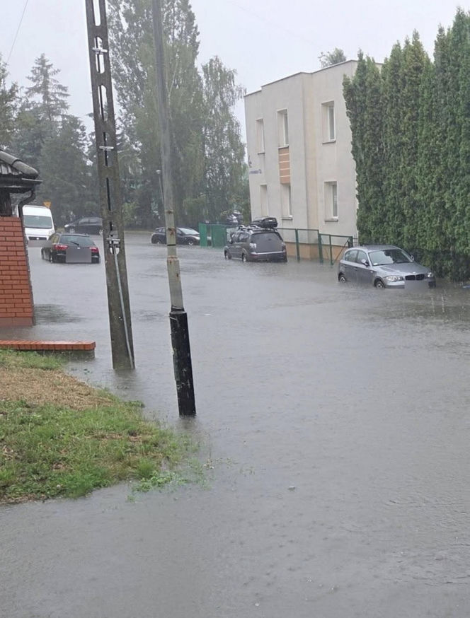 Zalany Rzeszów