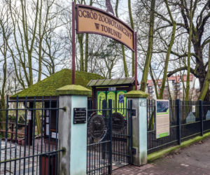 Najlepsze ogrody zoologiczne w Polsce [ZDJĘCIA]