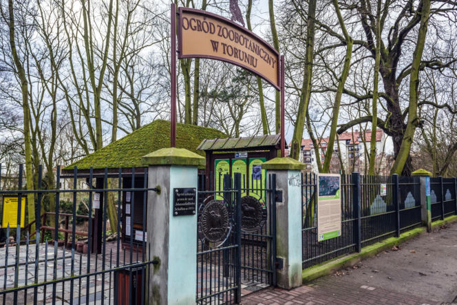 Najlepsze ogrody zoologiczne w Polsce [ZDJĘCIA]