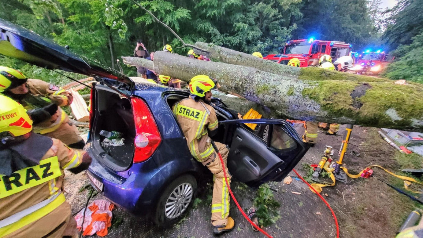 Buk zmiażdżył auto