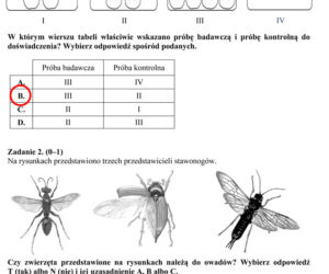 Egzamin gimnazjalny 2014 przyroda biologia geografia arkusze odpowiedzi