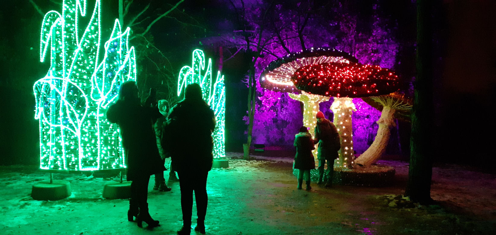 Lumina Park w Ogrodzie Botanicznym UMCS w Lublinie