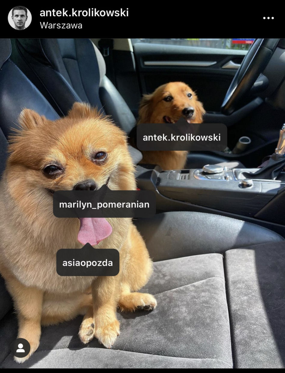 Antek Królikowski wybrał dojrzałą