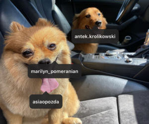 Antek Królikowski wybrał dojrzałą