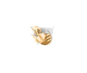 Pierwsza pomoc: Zachłyśnięcie niemowlaka krok 5
