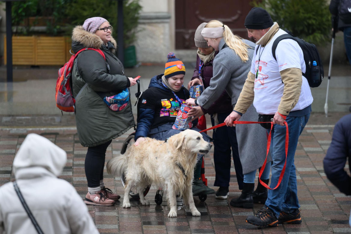 Poznań. Pokaz wyszkolenia psów z grupy „Golden Retriever WOŚP w Poznaniu” podczas 33. Finału Wielkiej Orkiestry Świątecznej Pomocy