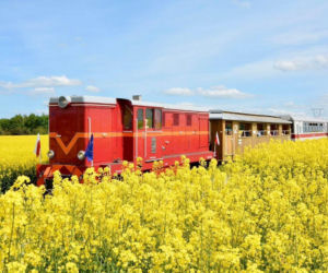 Kolejka wąskotorowa w Jędrzejowie startuje 1 maja