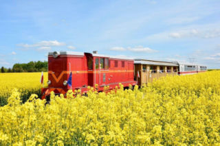 Kolejka wąskotorowa w Jędrzejowie startuje 1 maja