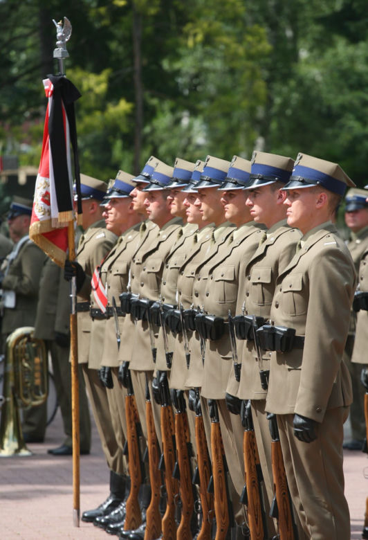 20 lat Polski w NATO. Tak się zmieniła armia
