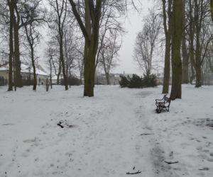 Gdzie mieścił się kiedyś letni teatr? Siedlecki park Aleksandria sto lat temu i w pierwszym tygodniu stycznia 2021: