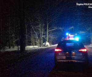 Szokujący wypadek w Proboszczowicach. Z auta prawie nic nie zostało! Nie żyje pasażer