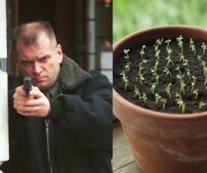 Rzeżuchy które wyglądają jak Krzysztof Rutkowski i jego legendarne fryzury