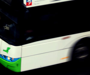 Autobus